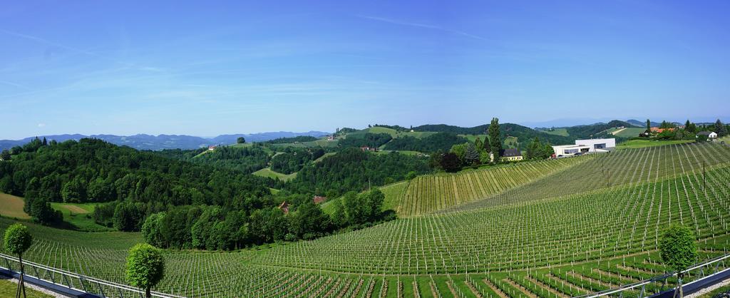 Weinrefugium Brolli Hotel Gamlitz Exterior foto